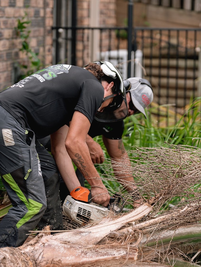 Adzy's Stump Grinding - Tree Removal Specialists (Local Expert)