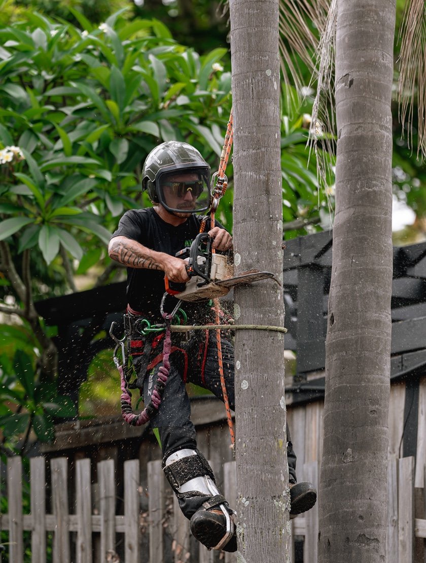 Adzy's Stump Grinding - Tree Removal Specialists (Local Expert)