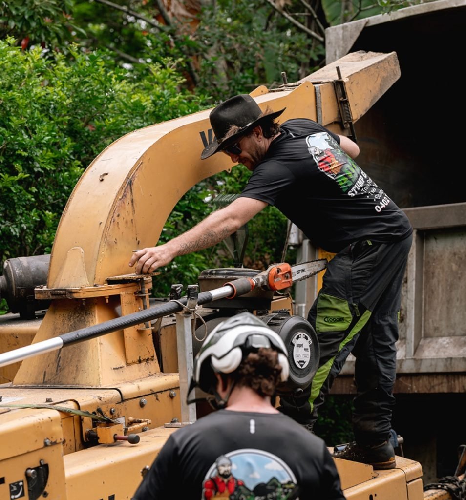 Adzy's Stump Grinding - Tree Removal Specialists (Local Expert)